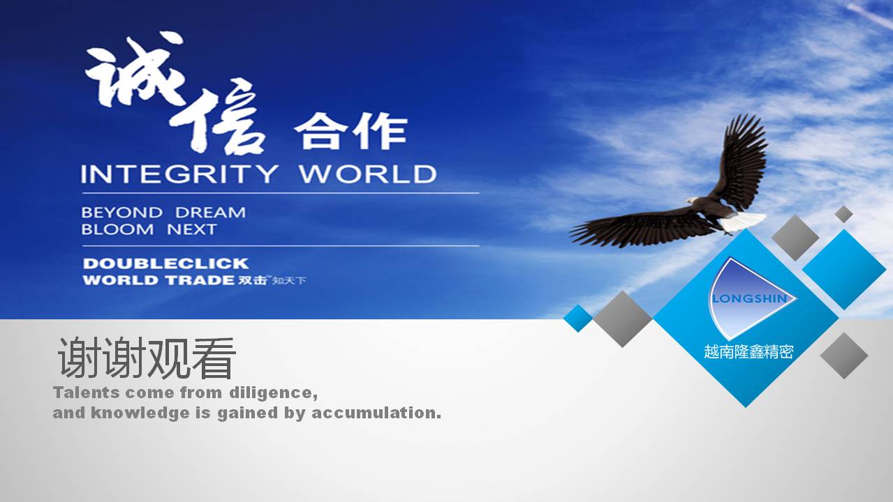 隆鑫精密（越南）简介